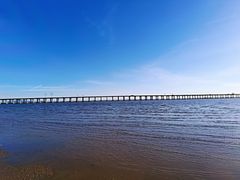 -宝安西湾红树林湿地公园