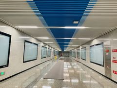 -大龙山(地铁站)