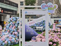 -HALO广场(梨园路店)