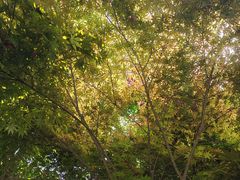 -南京市江宁方山