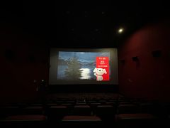 -悦江新远影城IMAX