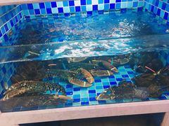 -渔家海鲜舫(宝湖路店)