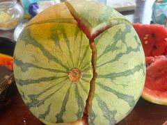 -南汇新场正宗水蜜桃采摘