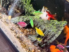 -双季花艺园艺市场(浦东店)