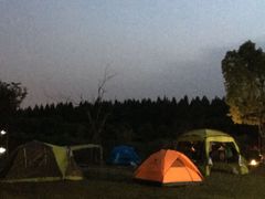 -崇明东平国家森林公园烧烤房车露营地