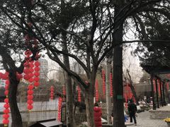 -水绘园