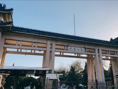 -洪记白水羊头(天坛店)