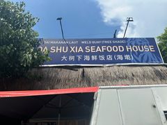 -大树下海鲜饭店