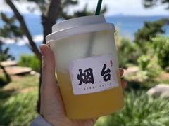 -养马岛旅游度假区
