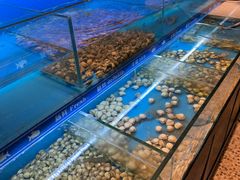 -太湖饭店玉兰厅(自助餐厅)