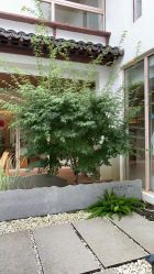 -AGE LOCK 锁龄美肌