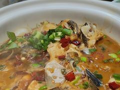 -小小饭店·休闲农庄·安吉松树林里的农家菜