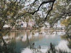 -鹿亭中村