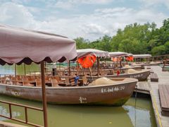 -东寨港红树林旅游区