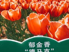 -江南大学(蠡湖校区)