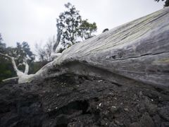-夏威夷火山国家公园