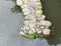 -成都杜甫草堂博物馆