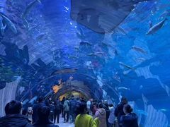 -华夏文旅海洋公园