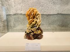 -杭州工艺美术博物馆