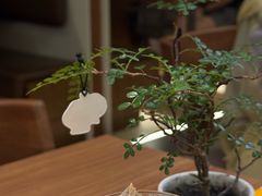 海盐蜂蜜柠檬气泡饮-CURRY YA 熟成咖哩專門店(深圳湾万象城店)