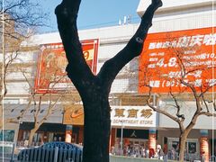 -耐克NIKE YOUNG ATHLETES(西单商场店)