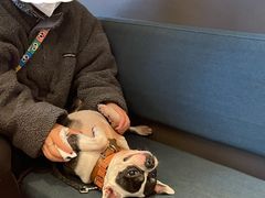 -Seesaw Coffee(苏州中心店)