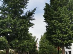 -日本风情街