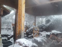 -汉拿山温泉度假酒店