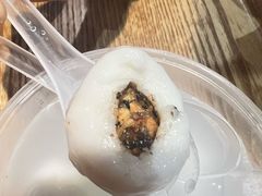 -海丝金凤(金鱼店)