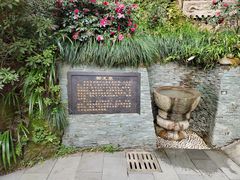 -十八棵（老龙井）御茶园(老龙井店)