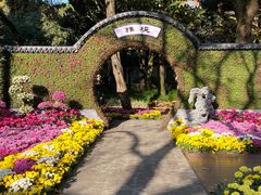 -汇龙潭