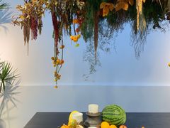 -自由生长植物工作室(深港花卉中心店)