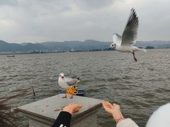 -海埂大坝