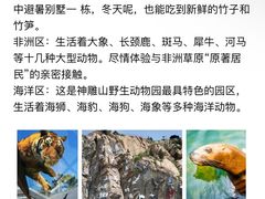 -西霞口神雕山野生动物世界