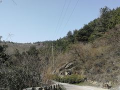-木兰云雾山