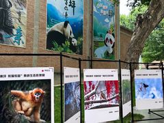 -西安电影制片厂