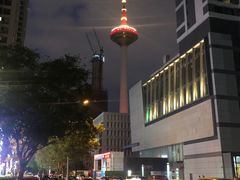 -辽宁电视塔