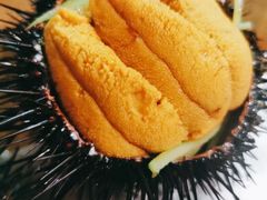 -南山酒肆(南山董事绘店)