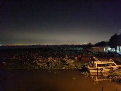 -七的湖·晚芳亭·阳澄湖农家菜·大闸蟹(莲花岛店)