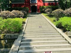 -子昂故里文化旅游区