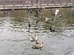-无锡动物园·太湖欢乐园