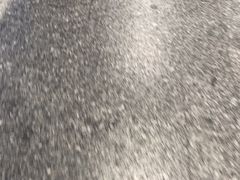 -米兰马尔彭萨国际机场