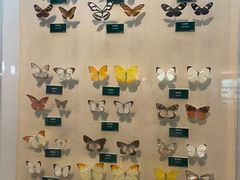 -陕西自然博物馆