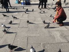 -圣马尔谷圣殿宗主教座堂