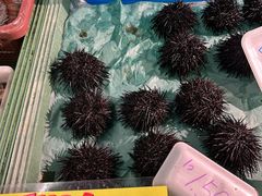 -南纪白浜Toretore市场