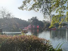 -荔湾湖公园