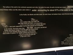 -鱼酷活鱼烤鱼(昆明路店)