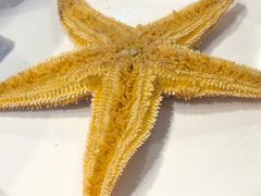-蚝堡海鲜·威海菜·海肠捞饭·烧烤·亚洲吃蚝公司(幸福门店)