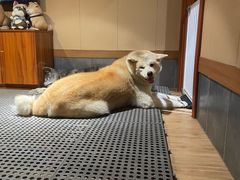 -大江户·温泉洗浴(浑南店)