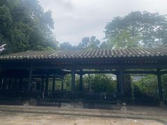 -荔湾湖公园